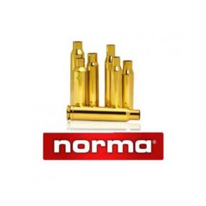 BOSSOLI NORMA CAL 30-06 Sfusi