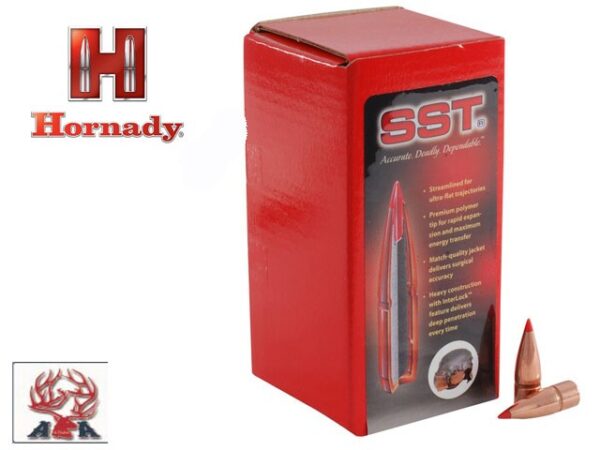 Palle HORNADY SST 270 CAL 140 GR