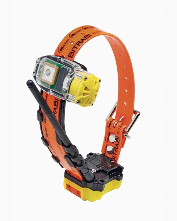 BITRABI Radio collare da caccia 5100B GPS + RADIO per la caccia al cinghiale e alla penna