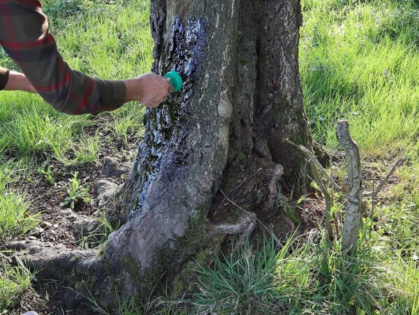 EUROHUNT 590201 - Catrame di Legno di Faccio, 2,5 l ATTRATTIVO