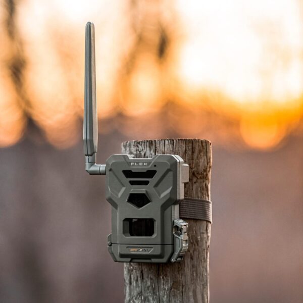Spypoint Rilevatore di selvaggina Wildkamera Flex