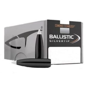 Palle Nosler Ballistic Silvertip cal 6 mm gr 95