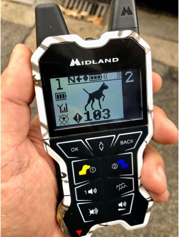 CANICOM Beeper One GPS NUOVO