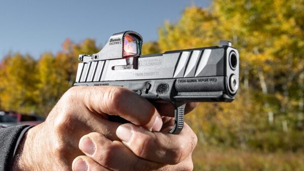 Burris Red Dot Fastfire C DA 6 MOA