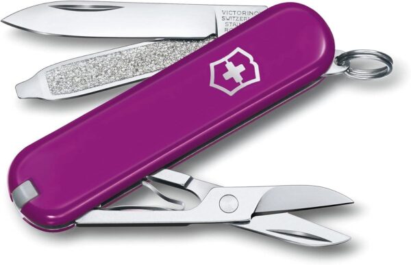 Victorinox Coltello da Tasca Classic SD TASTY GRAPE