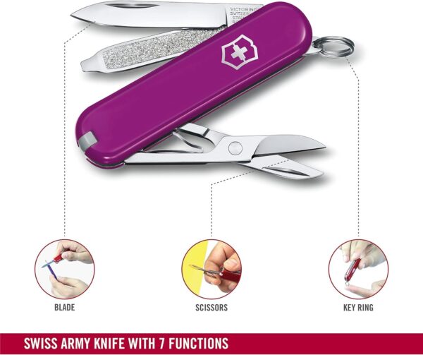 Victorinox Coltello da Tasca Classic SD TASTY GRAPE