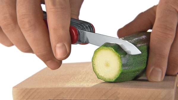 Victorinox Picknicker Coltello da Tasca