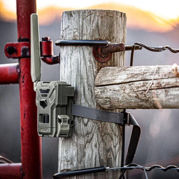Spypoint Rilevatore di selvaggina Wildkamera Flex-M