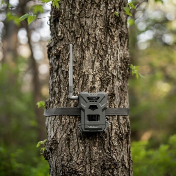 Spypoint Rilevatore di selvaggina Wildkamera Flex-M