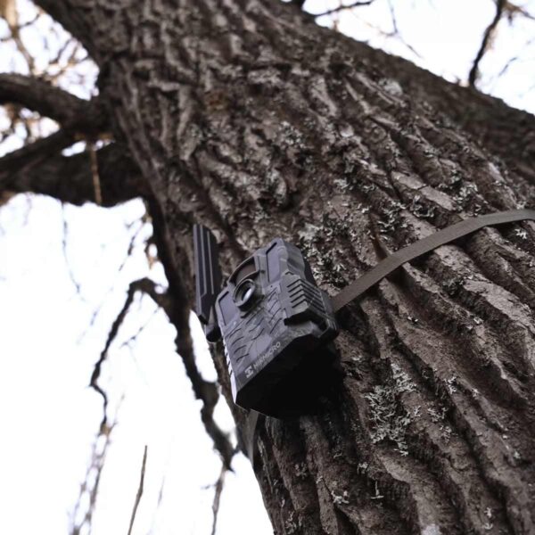 HIKMICRO FOTOTRAPPOLA M15 TRAIL CAMERA